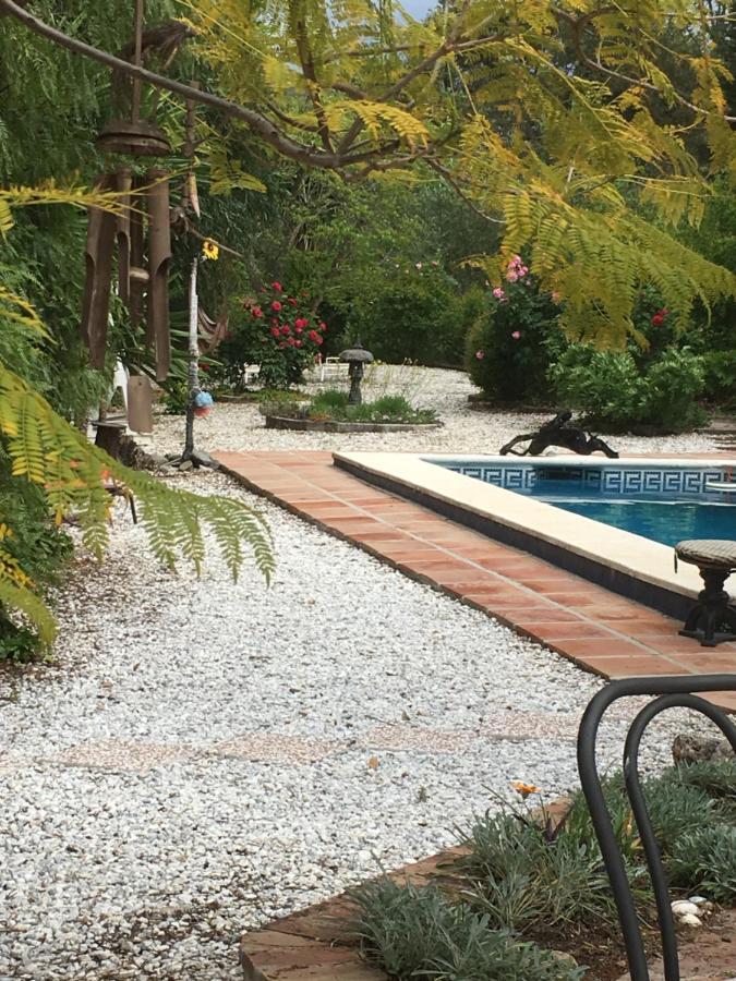 Finca El Rio,, La Casita One Of 2 Self Catering Studios. Pool And Hydrotherapy Jacuzzi Малага Екстер'єр фото